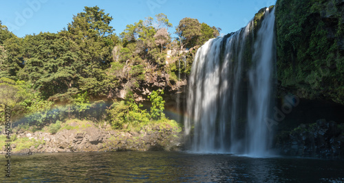 Beautiful Rainbow Falls with cave  Kerikeri area  Northland  New Zealand