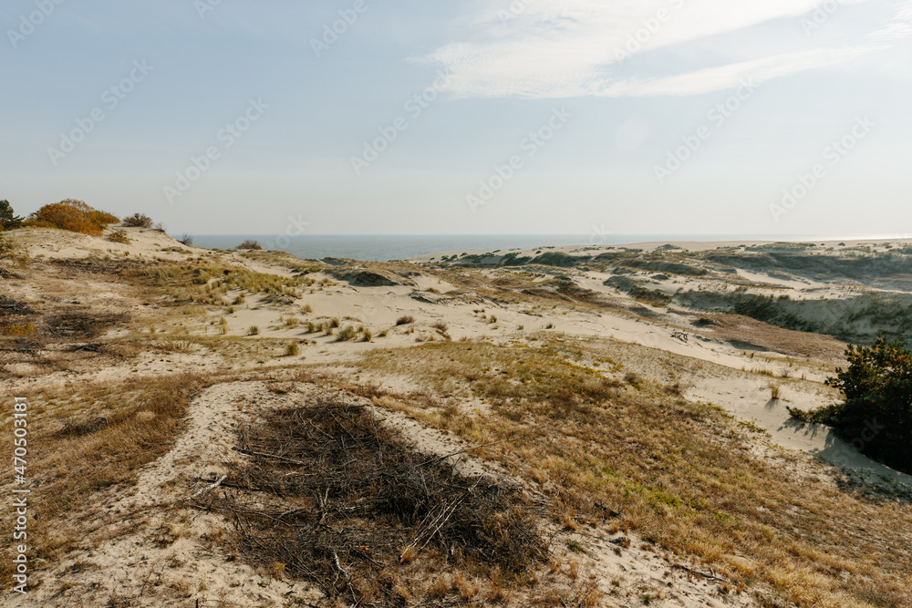 Panoramic view of the golden sand dunes of the Curonian Spit. The coastline of the Baltic Sea, forest belt, shrubs and grass on sand dunes. Panoramic view of the golden sand dunes of the Curonian Spit. The coastline of the Baltic Sea, forest belt, shrubs and grass on sand dunes.