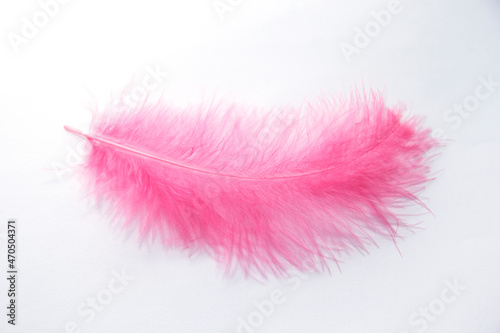 Pink feather on a white background. Ease in everything