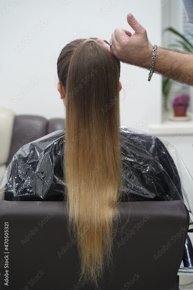 Fototapeta premium Work in a hairdressing salon. High tail. Measurement.