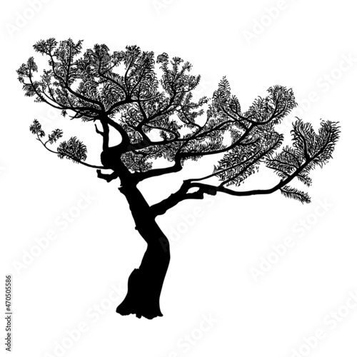 Realistic tree isolated on white background. Silhouette of spruce tree, pine, bush fir. Drawing from real trees with twigs and branches. Vector.