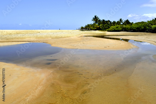 foto do encontro de um rio com o mar  na praia de trancoso  bahia.