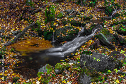 Sumny and Bily creek in autumn morning in Jeseniky mountains photo