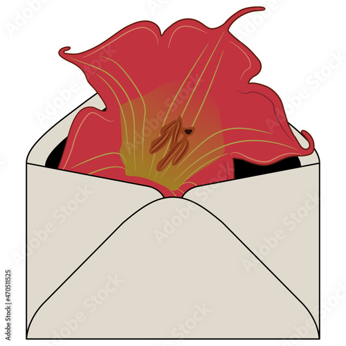 Single flower of red datura inside paper envelope. Brugmansia sanguinea. Creative concept. Isolated vector illustration.