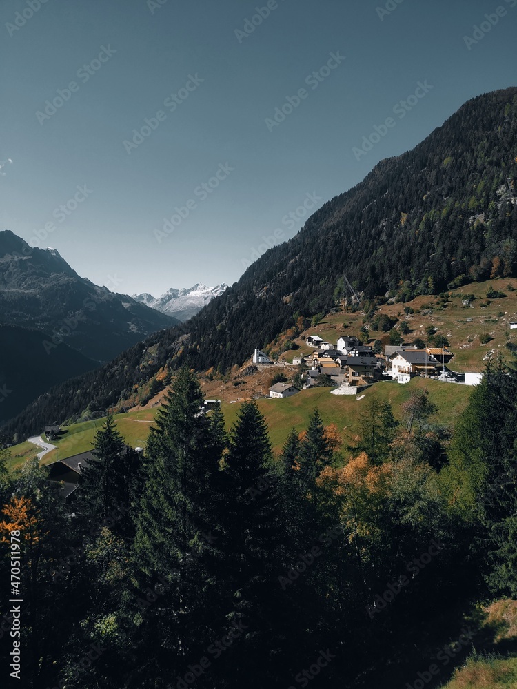 Fototapeta premium landscape with lake