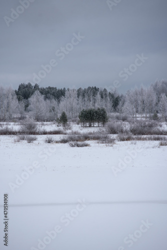 Wallpaper Mural Landscape. Frosty day. Trees are covered with a frost. Torontodigital.ca