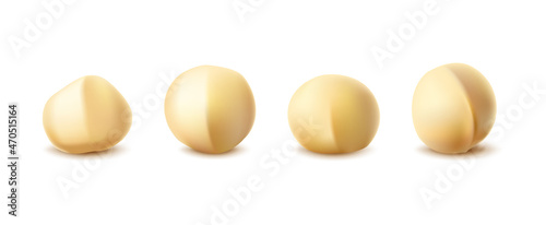 3d realistic vector icon. Collection of macadamia nuts. Isolated on white background.