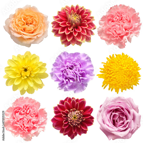 Flowers head collection of beautiful daisy, carnation, rose, chrysanthemum, dahlia isolated on white background. Card. Easter. Spring time set. Flat lay, top view © Flower Studio
