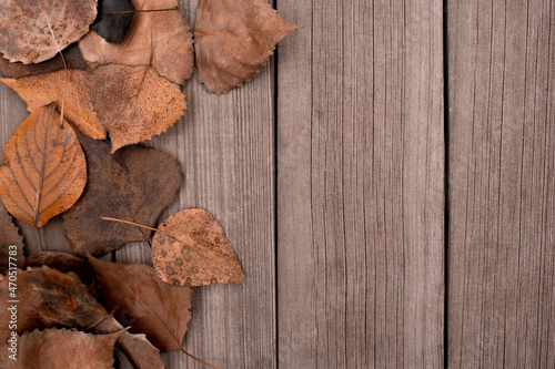 Lots of orange autumn leaves on the wooden. Top view