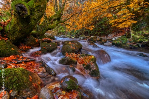 Redes forest in Asturias  Spain. Autumn scenery