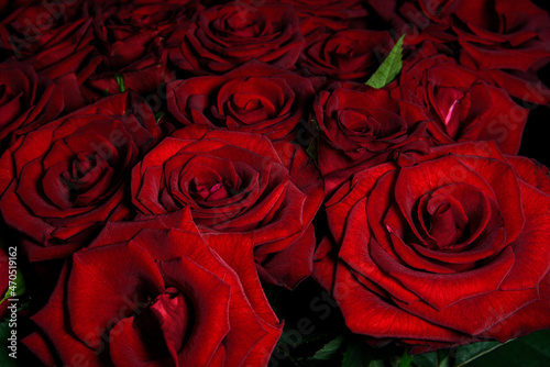 large bouquet of red roses close-up