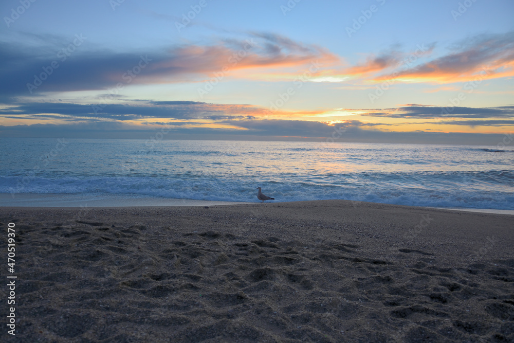 Fototapeta premium sunset at the beach