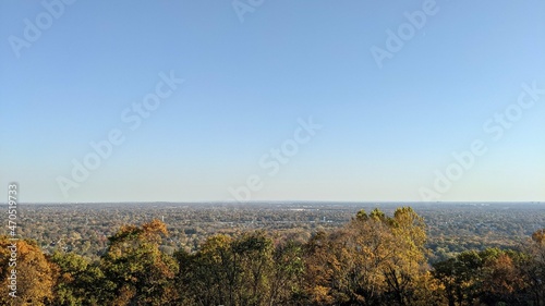 Landscape of autumn trees