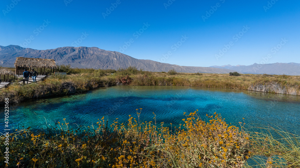 Obraz premium Amazing landscape with a lake and river in the middle of the desert with shades in the water of blue and turquoise green, mountains are distinguished, and the wide desert. Poza Azul, Cuatrociénegas.