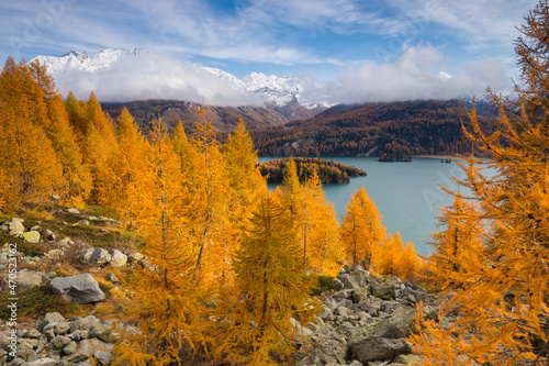 View on Lake Sils during autumn season, Engadine, Grisons, Swiss Alps, Switzerland photo