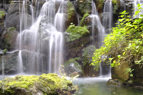 Waterfall of Japanese garden  21 11 2021
