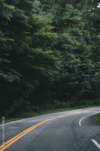 empty road going through a mountain in Tennessee, covered by green trees with a yellow line in the middle during early winter