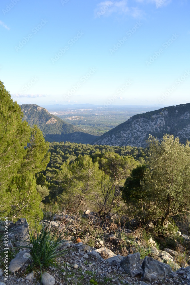 Fototapeta premium Mallorca