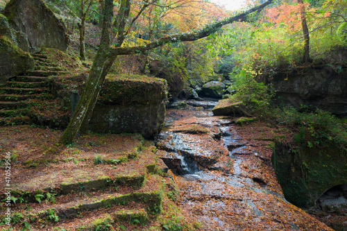 山中渓谷の紅葉