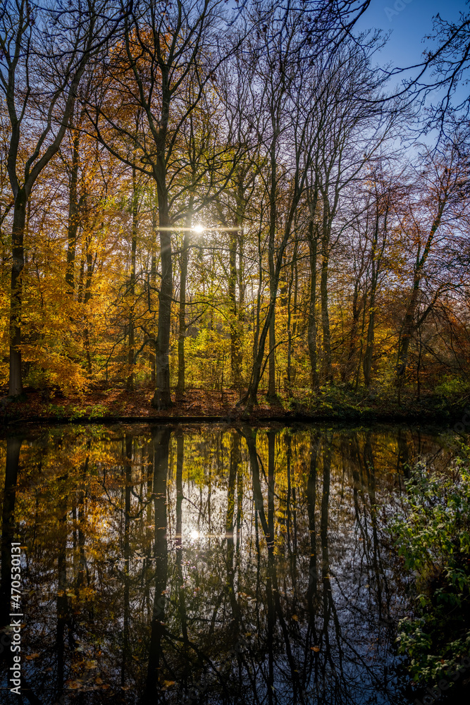 Beautiful autumn background with pathway through the forest Beautiful autumn background with pathway through the forest