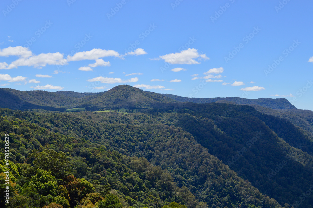 A view of the canopy of trees and highlands of the New England Tablelands