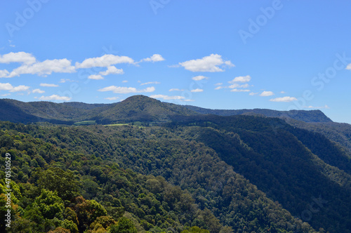 A view of the canopy of trees and highlands of the New England Tablelands