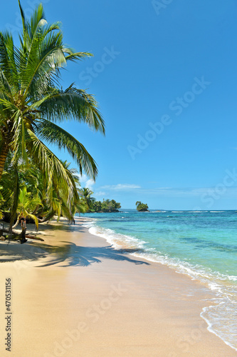 Fototapeta Naklejka Na Ścianę i Meble -  Wild tropical beach with coconut trees and other vegetation, white sand beach, Caribbean Sea, Panama