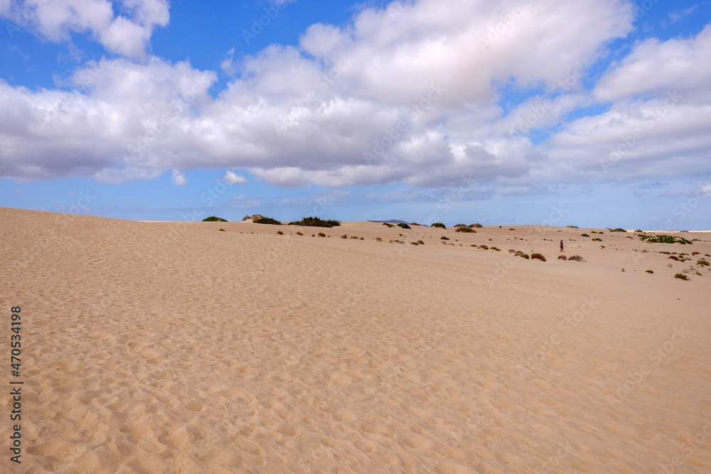 View on the sand dunes of Corralejo on the Canary Island Fuerteventura. View on the sand dunes of Corralejo on the Canary Island Fuerteventura.