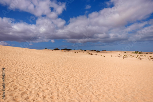 View on the sand dunes of Corralejo on the Canary Island Fuerteventura.