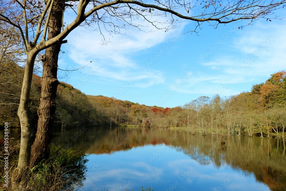 Obraz premium 秋の湖 穏やか 風景