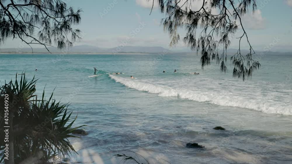 a morning shot of longboard surfers at wategos beach of byron bay in northern nsw, australia