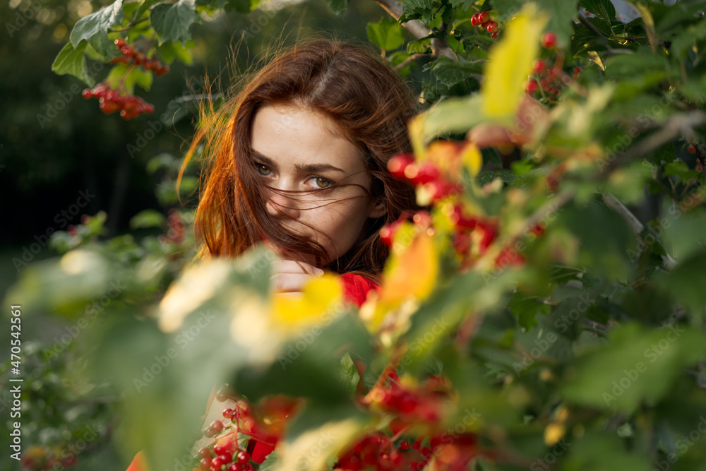 beautiful woman bush with berries nature fresh air beautiful woman bush with berries nature fresh air