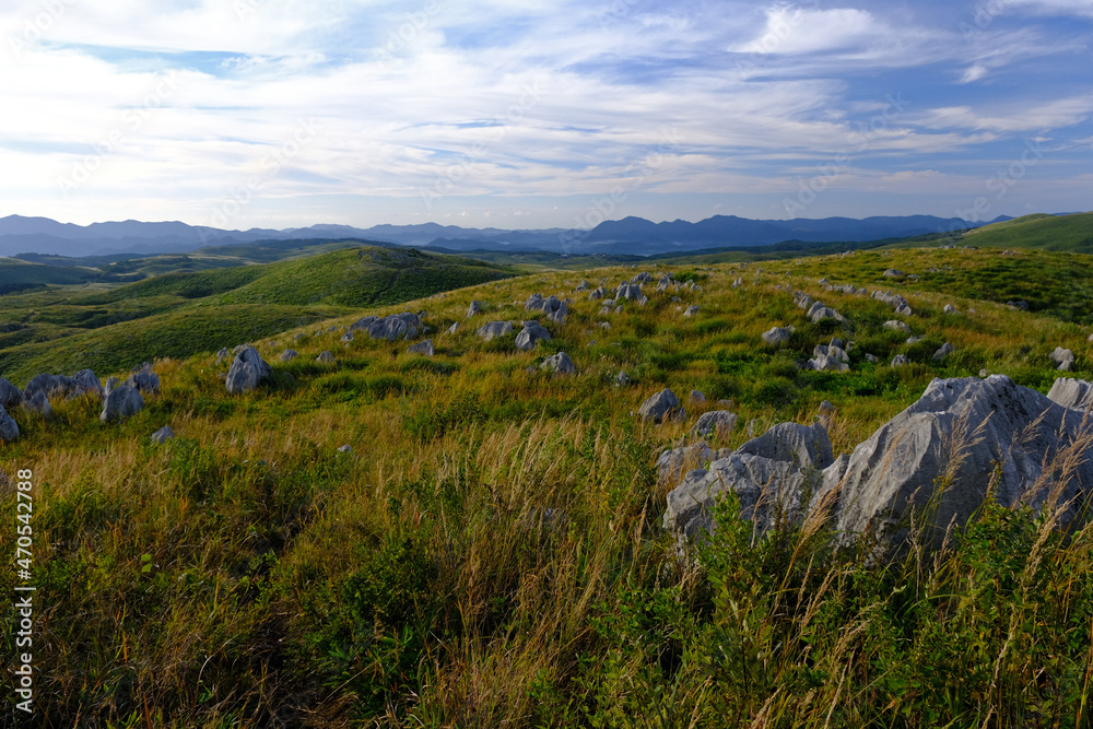 カルスト台地の秋吉台 秋の朝の風景 カルスト台地の秋吉台 秋の朝の風景