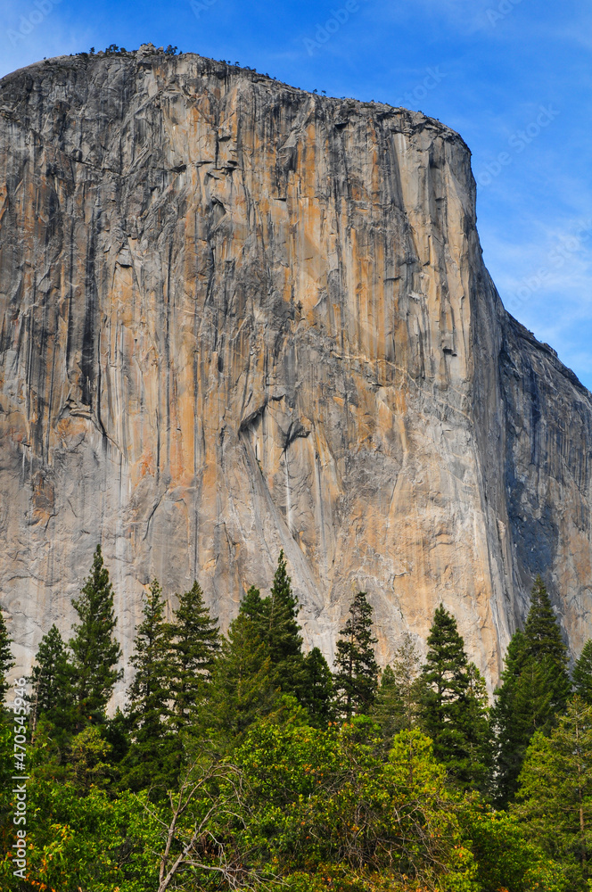 The famous sheer rock face of El Capitan and the woods beneath, Yosemite National Park, California, USA The famous sheer rock face of El Capitan and the woods beneath, Yosemite National Park, California, USA