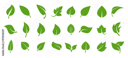 Leaf icon. Set of green leaf icons. Green color. Leaf green color icon logo. Stock vector.