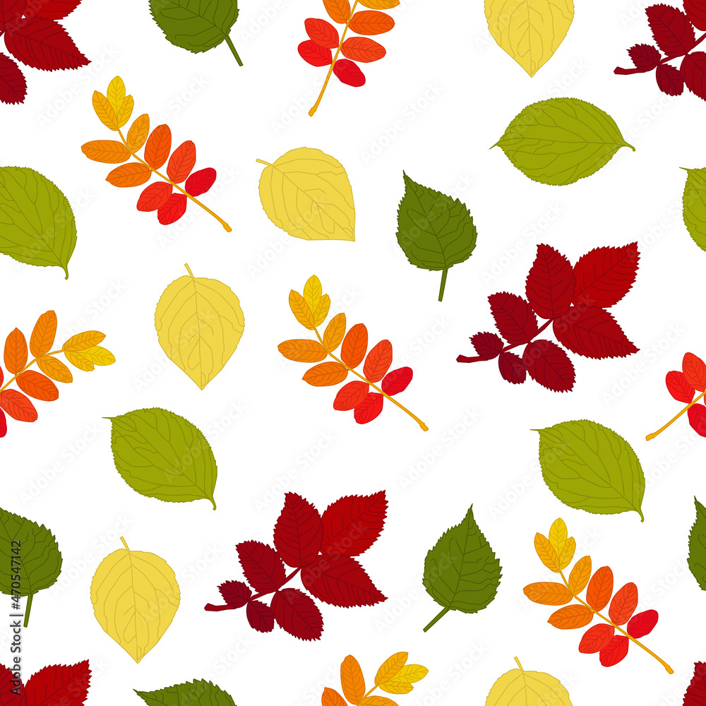 Fototapeta premium Autumn herbarium