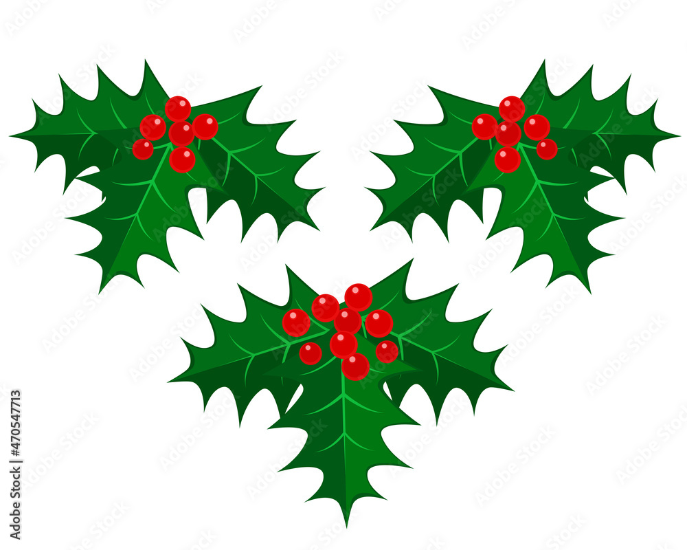 Naklejka premium クリスマスのイラスト素材：ヒイラギ 柊