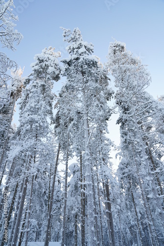 Lapland, the Middle of Finland