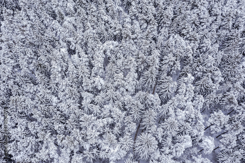 winter background with snow-covered fir trees forest. drone aerial photography.
