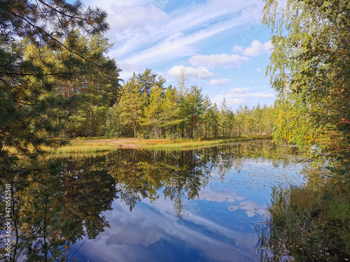 Fototapeta Naklejka Na Ścianę i Meble -  The mirror surface of a forest lake, in which trees and the sky with beautiful clouds are reflected.