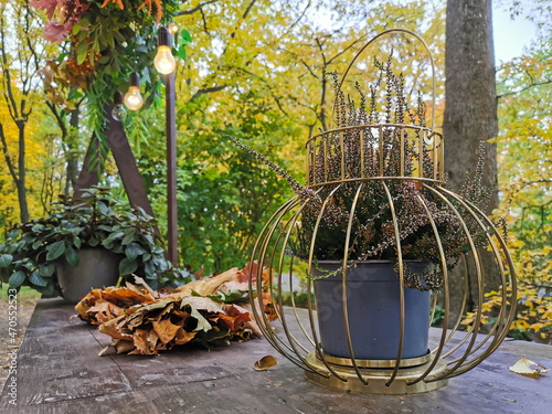 A brown wooden table of a street cafe in an autumn park with heather in a flowerpot in the form of a lantern near dry maple leaves, decorated with plants and light bulbs on top.