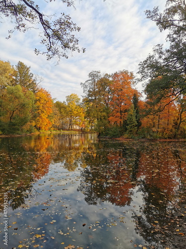 Autumn in the park. Trees with bright, already falling leaves are reflected in the pond water along with the sky and beautiful clouds.