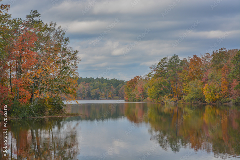 Beautiful Hamburg Lake in Hamburg State Park, Mitchell, Washington County, Georgia