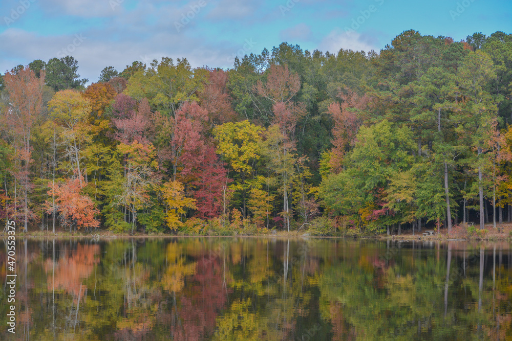 Beautiful Hamburg Lake in Hamburg State Park, Mitchell, Washington County, Georgia