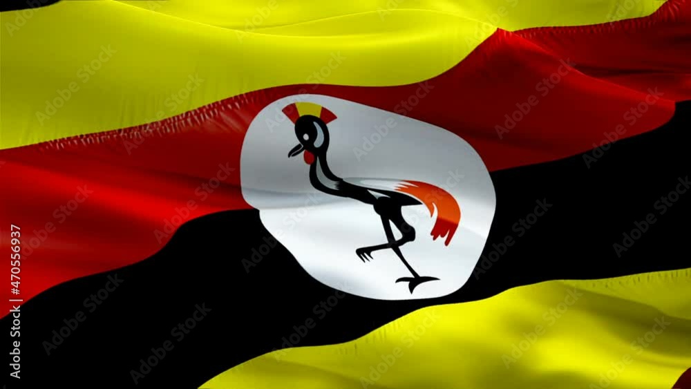 Uganda flag. National 3d Uganda flag waving. Sign of Ugandan seamless loop animation. Uganda flag HD Background. Ugandan flag Closeup 1080p Full HD video for presentation. Ugandan flags for Victory da