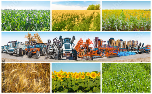 Fotografie Collage about farm, agriculture, farming