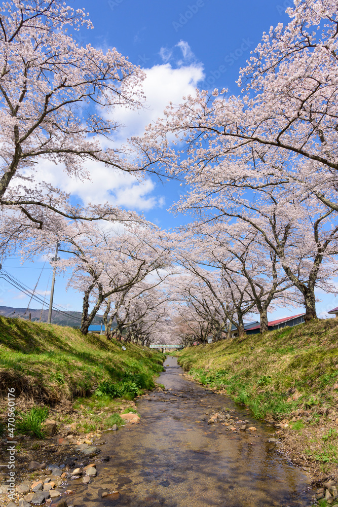 桜 宮城の小さな温泉 川渡温泉にて
桜 宮城の小さな温泉 川渡温泉にて