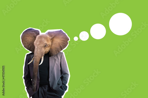 Man with the face of elephant on a green background. This is a metaphor for green activists. Collage with animal protector. Concept - careers of nature protector. Man is engaged in nature protector photo