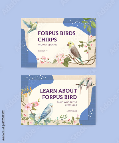 Facebook template with forpus bird concept,watercolor style photo
