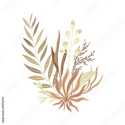 Dried plants and flowers. Bouquet in taupe, brown, sepia trendy colors for your own design vector illustration